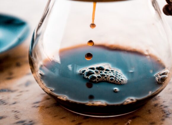 Extract 101 chaga mushroom extract