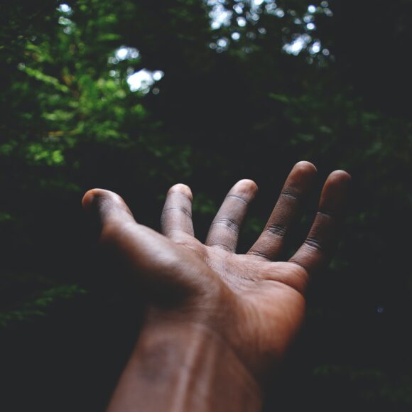 what is chaga good for