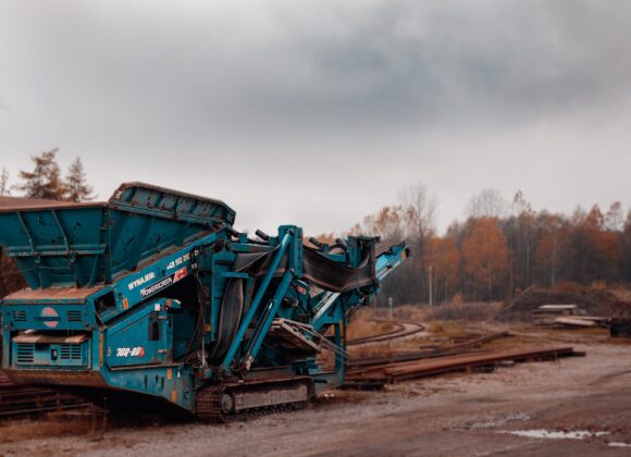 How to harvest healthy Chaga? harvesting healthy chaga