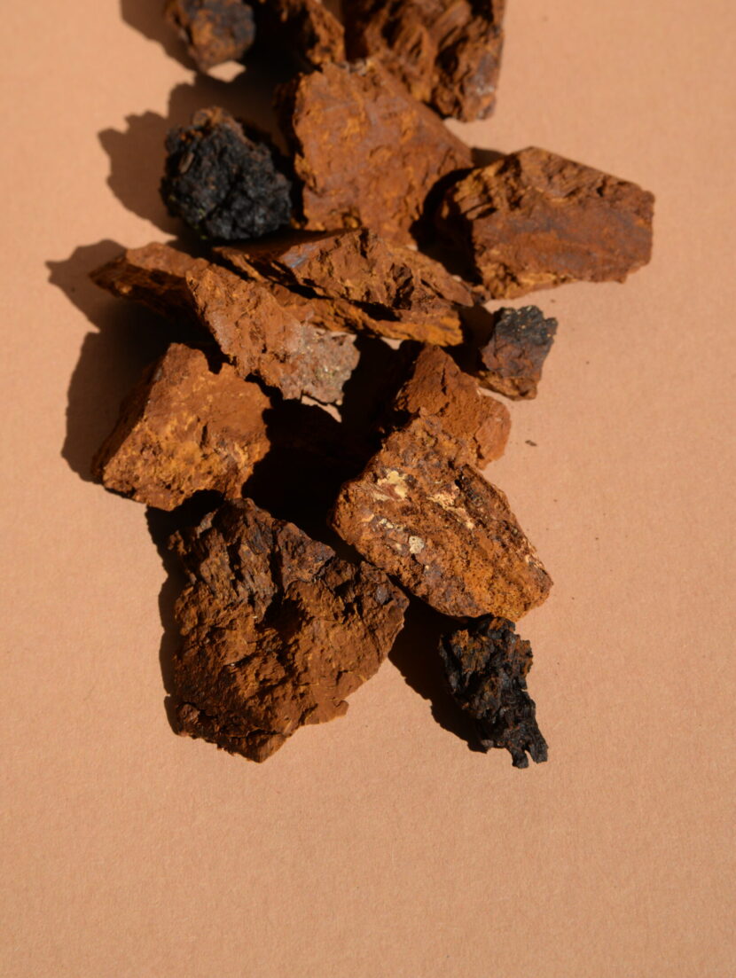 Can Chaga expire or go bad? chaga go bad