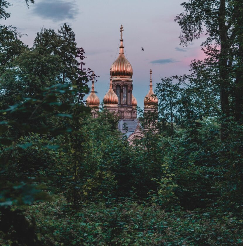 Russian Chaga russian chaga