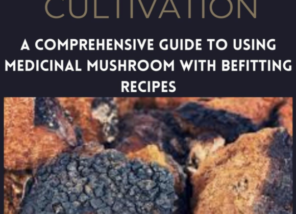 Book review | "Chaga Mushroom Cultivation" Chaga Mushroom Cultivation Review