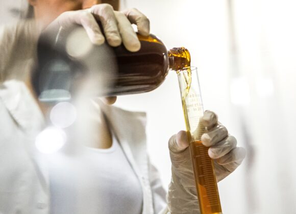 Chaga Tincture | Single Extraction chaga tincture single extraction